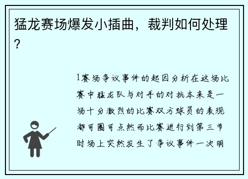 猛龙赛场爆发小插曲，裁判如何处理？