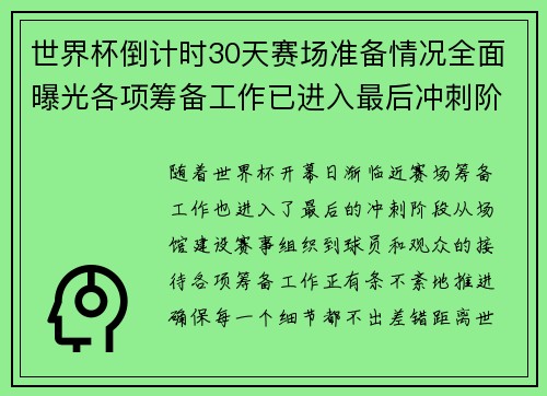世界杯倒计时30天赛场准备情况全面曝光各项筹备工作已进入最后冲刺阶段